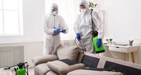Electrostatic Disinfection